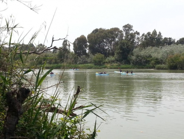 Contemplando las embarcaciones desde la ribera